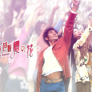 欧美肥胖老太交性视频
